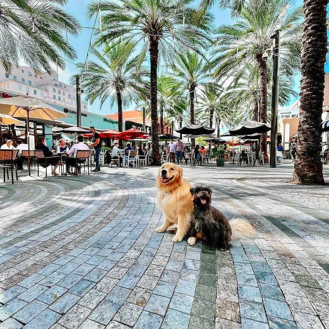 Downtown Coral Gables