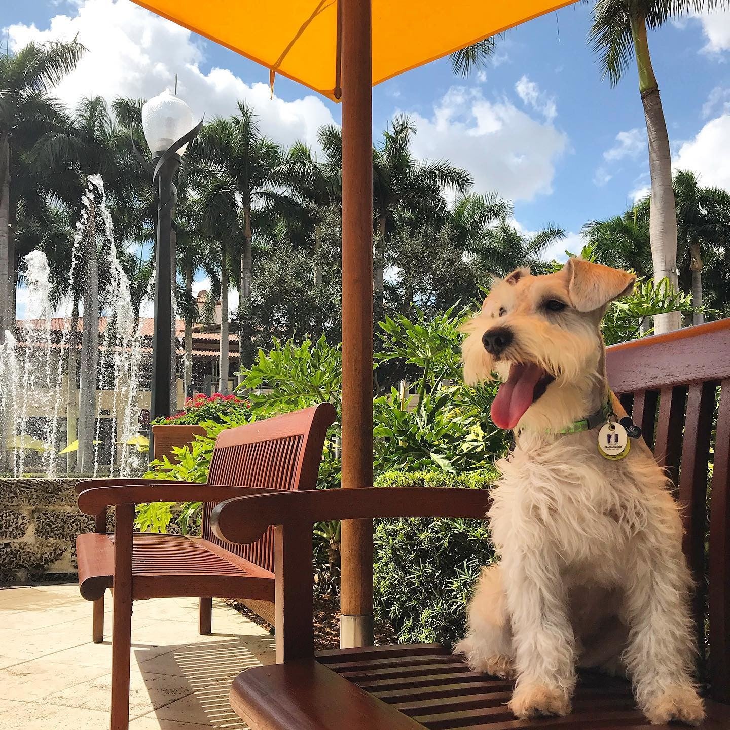 Shops at Merrick Park