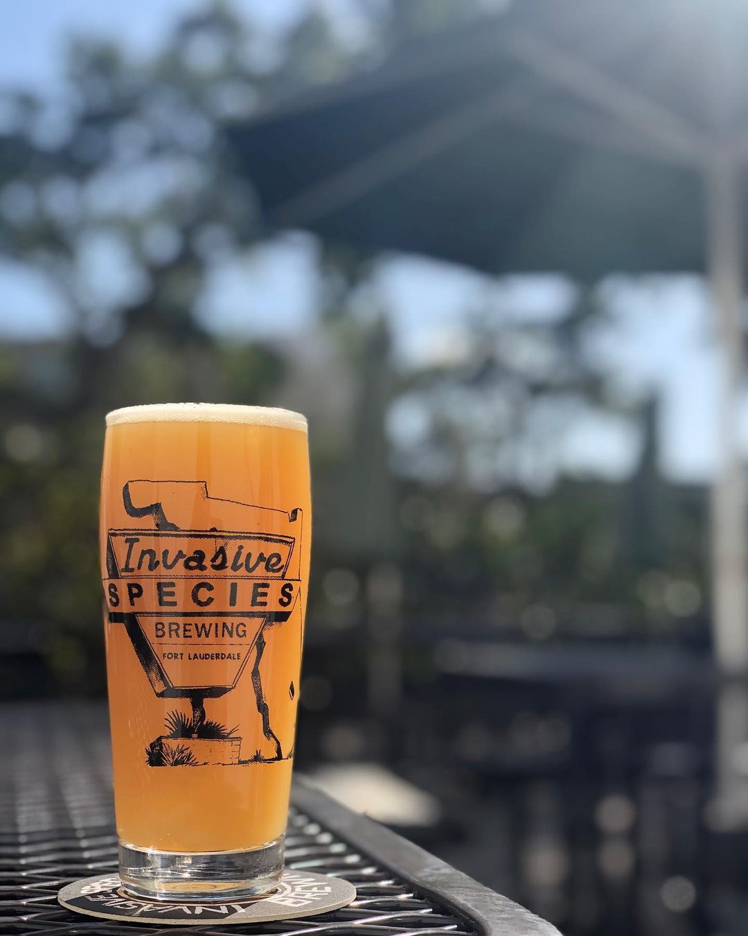 Invasive Species Brewing7