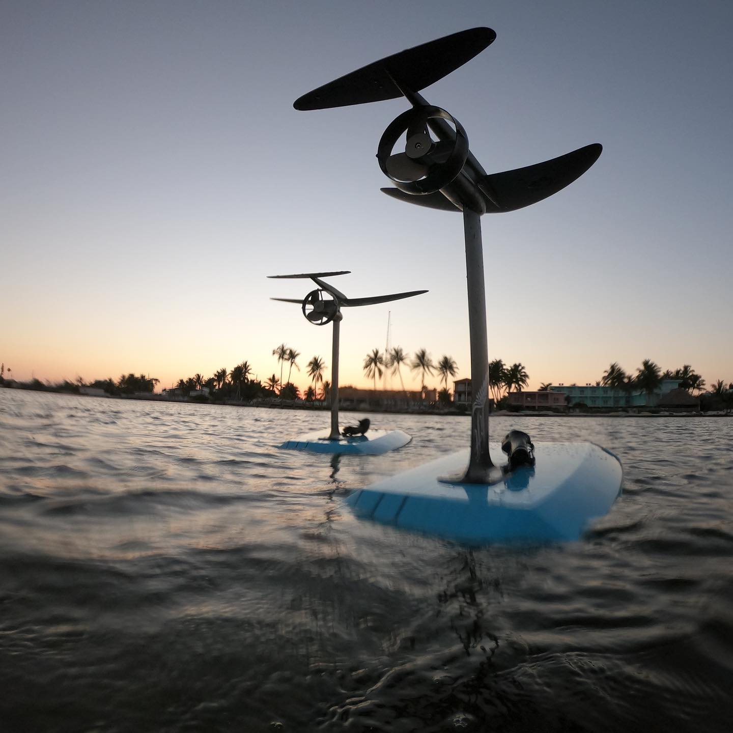 185109559_113385467545512_2314570767609235450_n