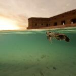 18527512_1663044677040337_6185963530679582722_o