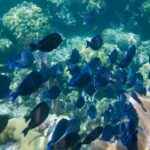 189511_176523399062181_6730394_n