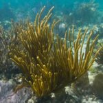 190052_176522952395559_1575092_n