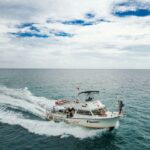 19145921_1470272699700520_7325884763074811085_n