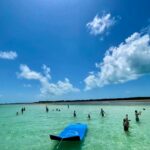 192810308_787231128461382_882799642499393096_n