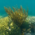 196877_176523472395507_2545471_n