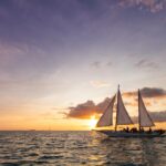 1979217_852388878159194_1253461332044580446_o