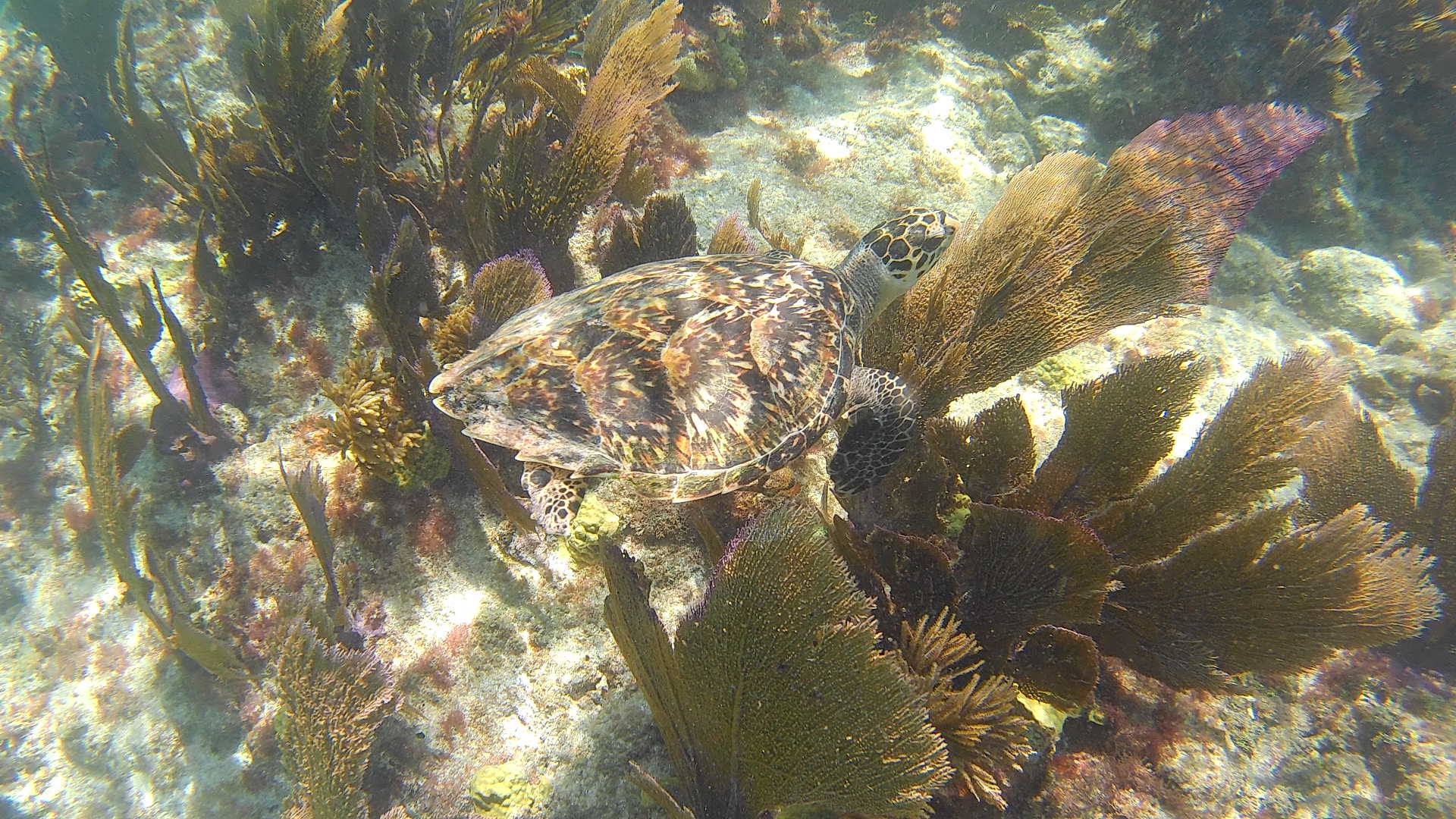 204986552_542157080486194_5679260424106732042_n