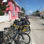 20799126_490356971317823_8287967958810435076_n