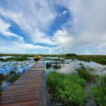 Wild Lime Adventures