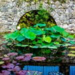 Fairchild Tropical Botanic Garden