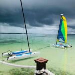 240530172_4461912050539349_8539750224768961021_n