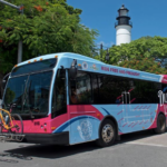 24067957_535748786778641_2924048067120088627_n