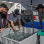 240810735_4833283336683106_119714276411894061_n