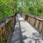 Wild Lime Adventures