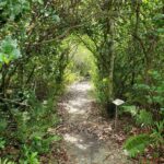 Wild Lime Adventures