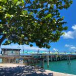 241173892_10159841311145039_6347627513655384366_n