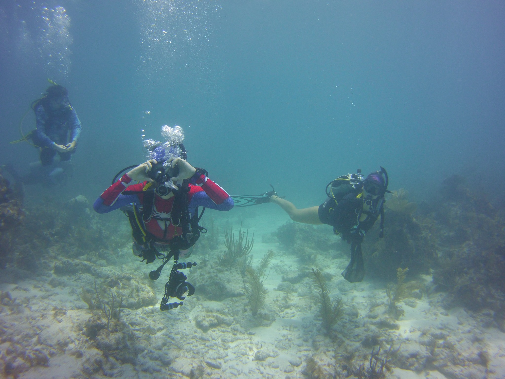 241311961_197679745664231_6038470467406317410_n