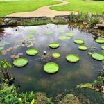 Fairchild Tropical Botanic Garden