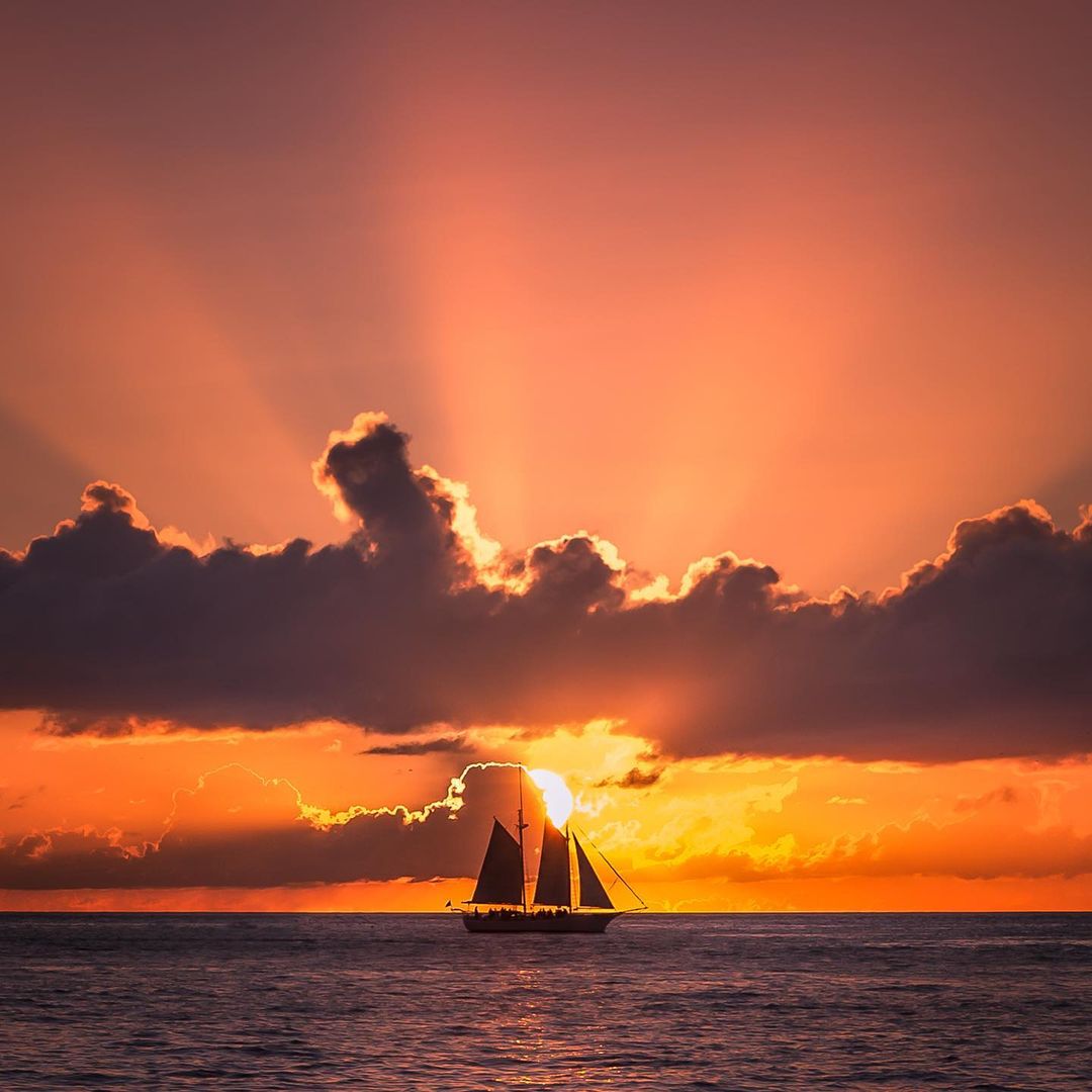 244440906_4525557924172698_1950022558380063611_n