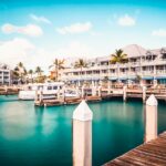 245505645_2412111068921248_1133017774503877207_n