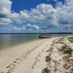 Wild Lime Adventures