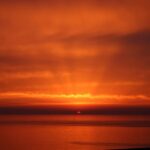 245907543_4558066090921881_4290002672933238983_n