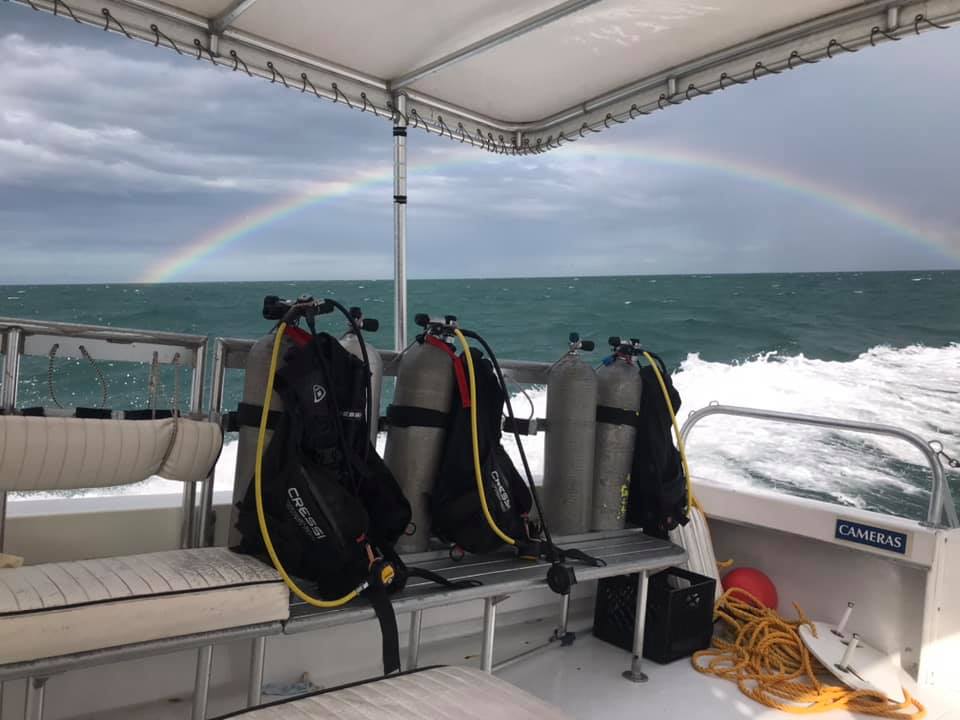 246283558_228726219226250_6235459463312583068_n