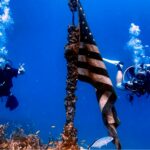 246683830_4155047441291061_4418333324303278781_n