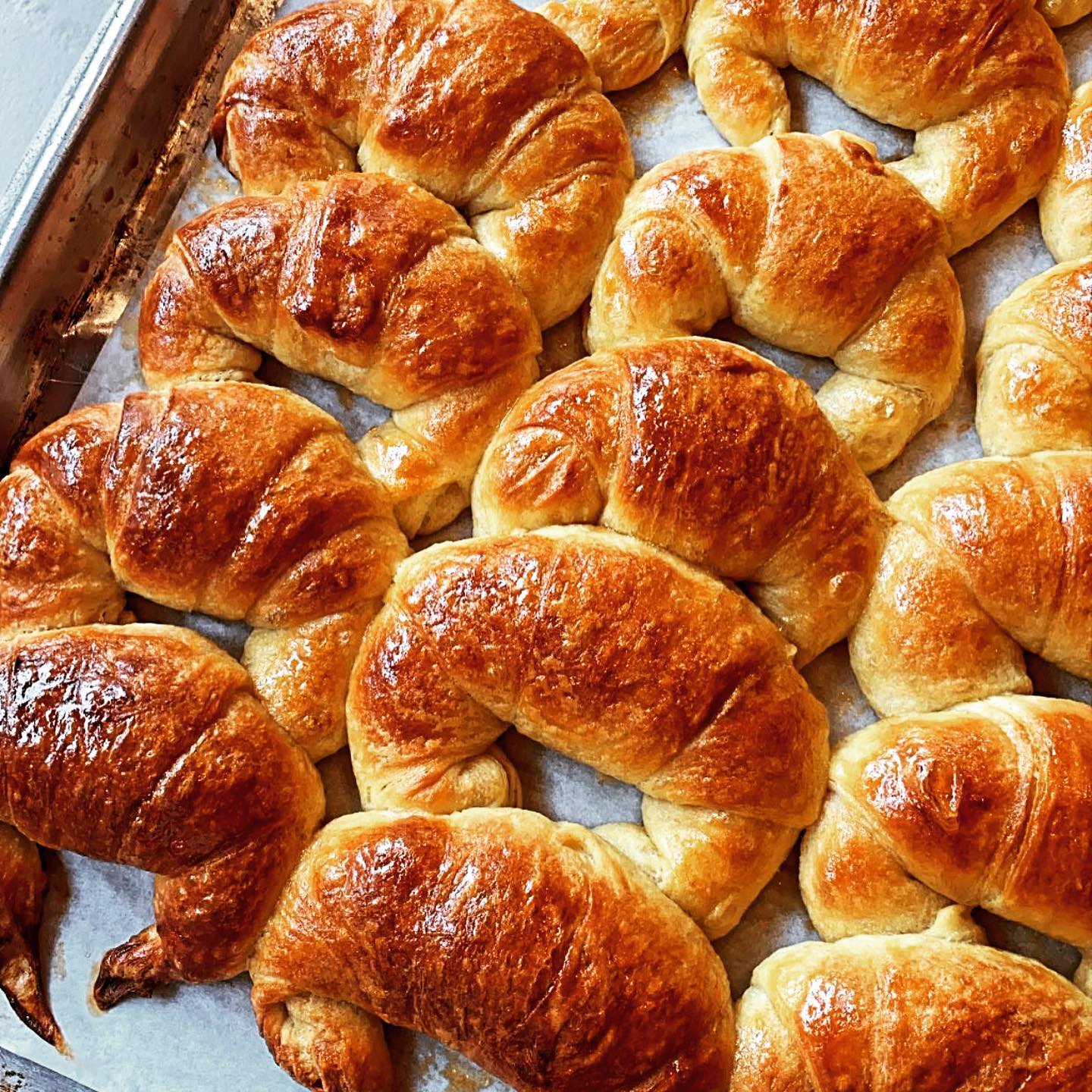 246913180_10158870910147982_4226062444122320089_n