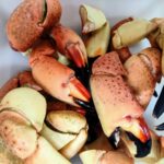 248390112_4608047705882435_5480117611547325099_n