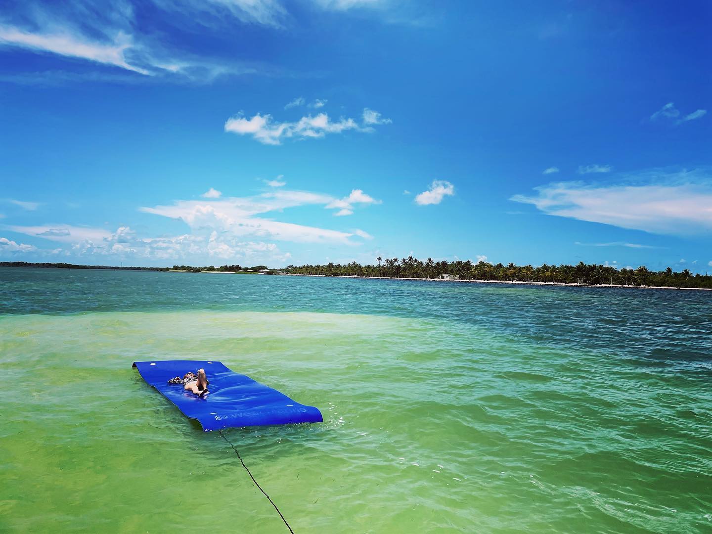 251053701_671821320868476_4817388485848064170_n