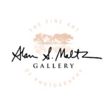 251956105_10160169809424645_396245597595476587_n