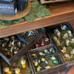 254973182_10159934497628919_5765670621172354199_n