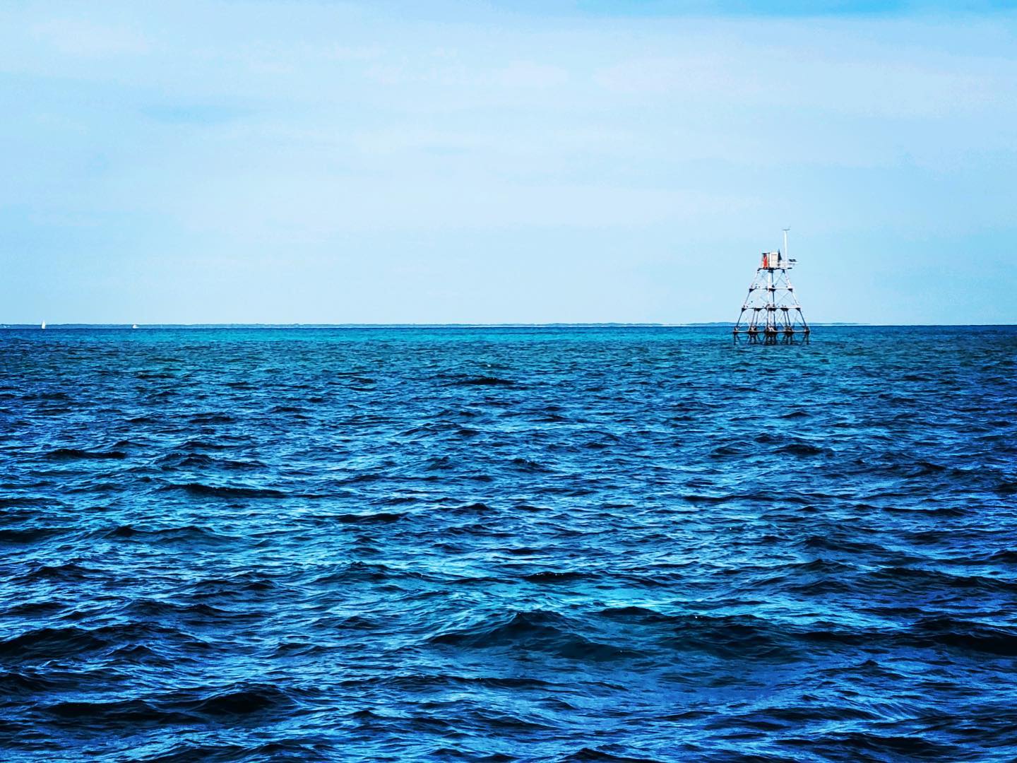 255030135_10159558585094910_6158421149546822591_n