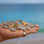 255061700_4565339443534489_6904426446603300652_n