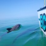 25626024_1886783351336293_5588284983571986529_o