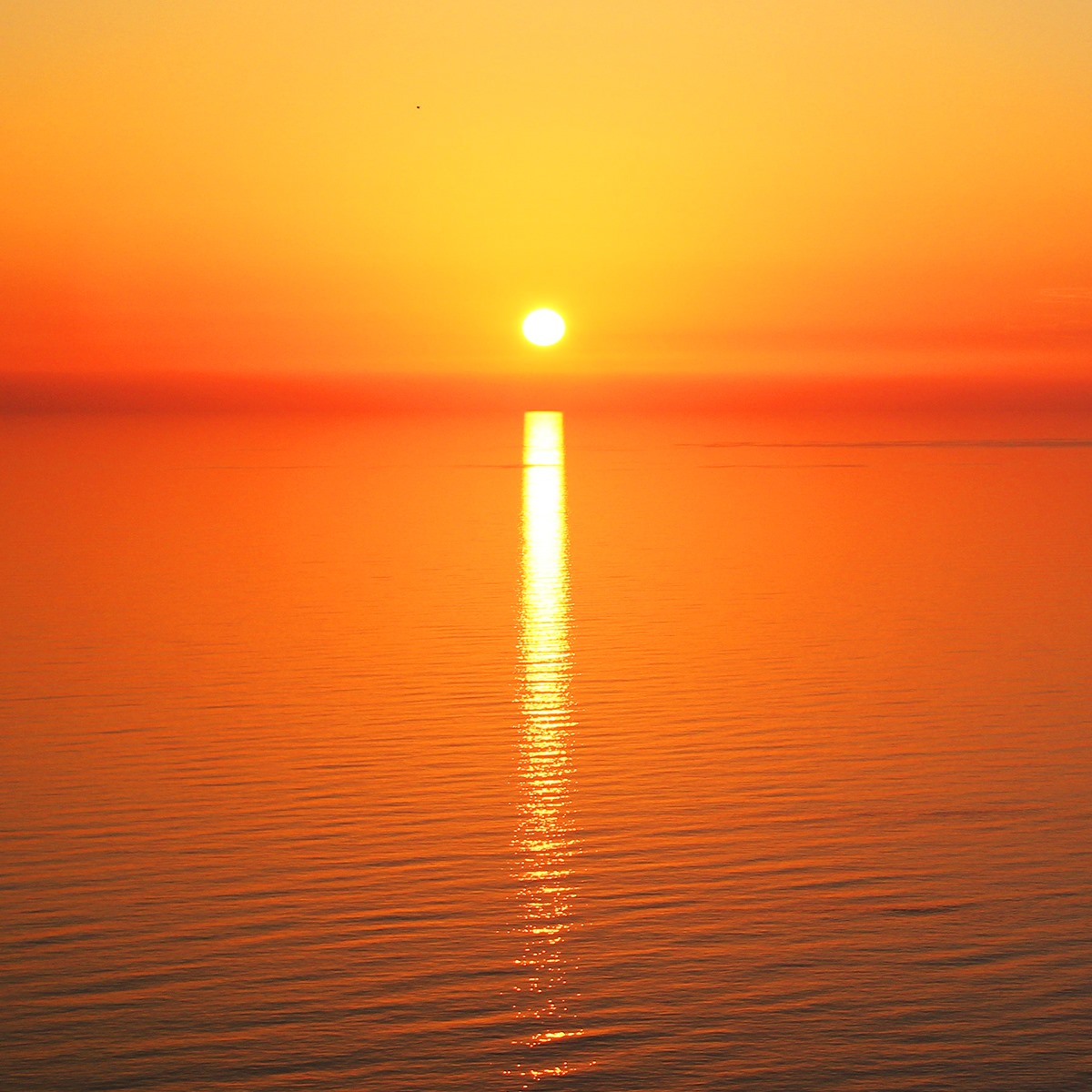 257542331_4662233410505148_5118603210741583874_n