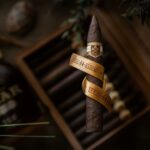 259799585_2007688246061158_6324593178451972148_n