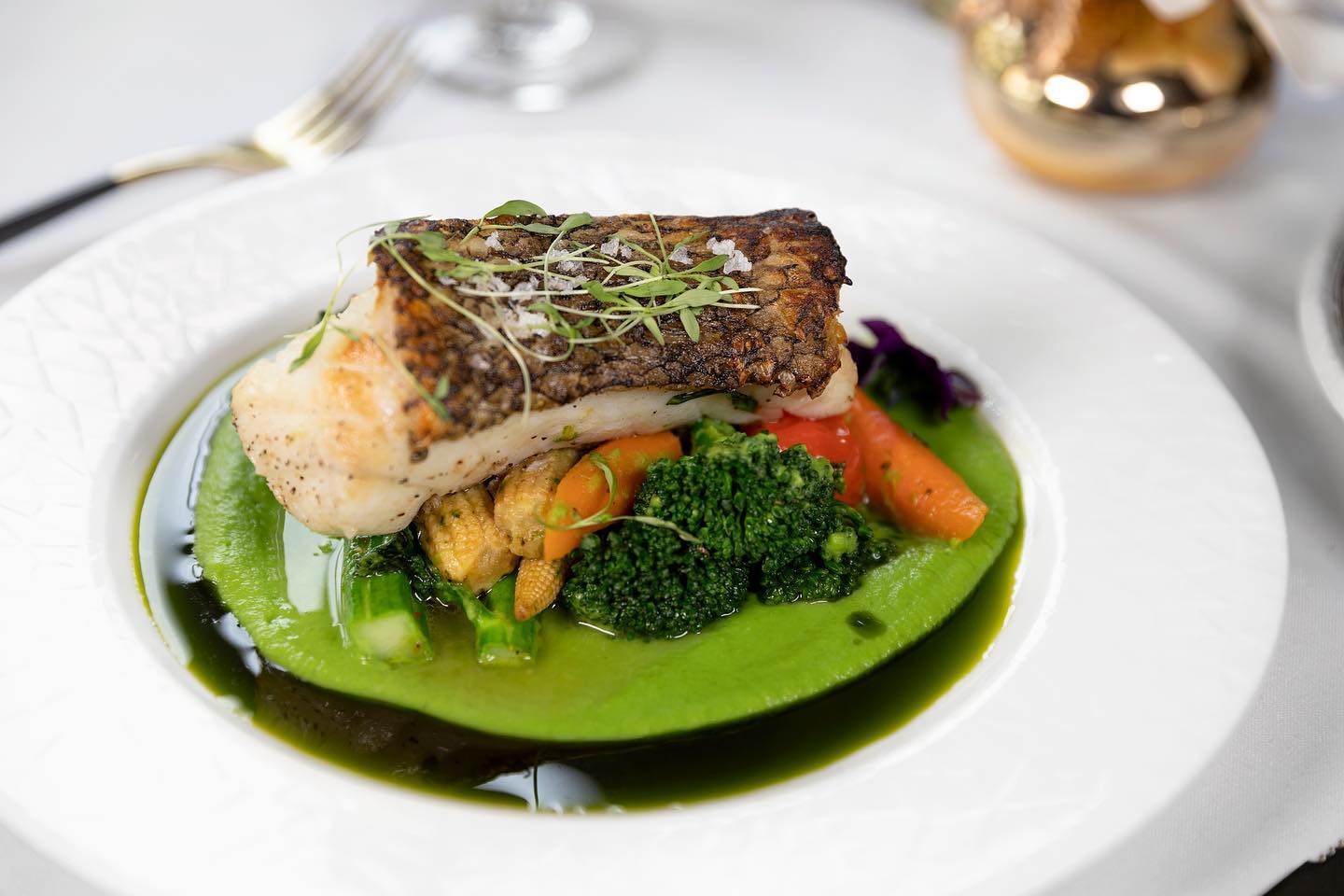 259824457_461120985353471_8041600925549823921_n