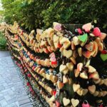 260009738_4913960361969671_6375364141917358737_n