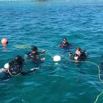 26063715_1666420003419121_1771600958701855223_o