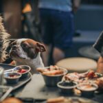 261084288_4861444777222207_6580362829430620614_n