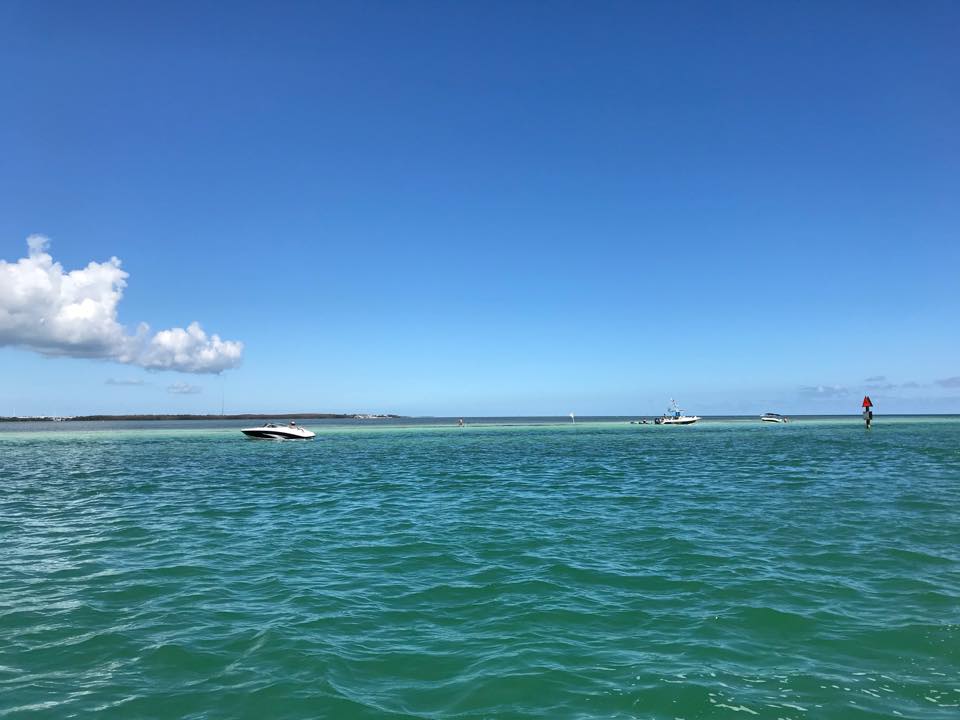 26167194_1571839972896253_8318754511275394315_n