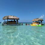 261773680_341966201026997_6895827665220958108_n