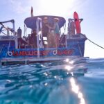 263445453_4284524288343375_2896152127525737686_n