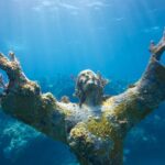 264122347_5072369896130356_1225916773892499787_n