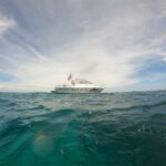 264242011_5072399882794024_3805485810468489544_n