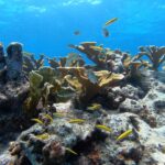 264669492_5072401552793857_7557000517294875119_n