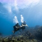 264916981_5072462552787757_1341094172174096961_n